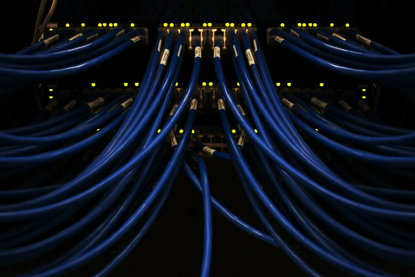 Blue network cables patched into a row of switch ports